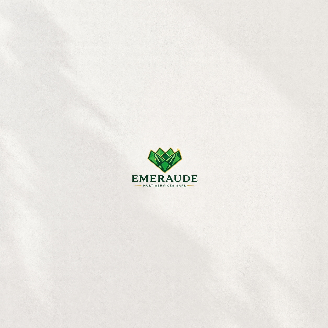Émeraude Multiservices — équipe et excellence